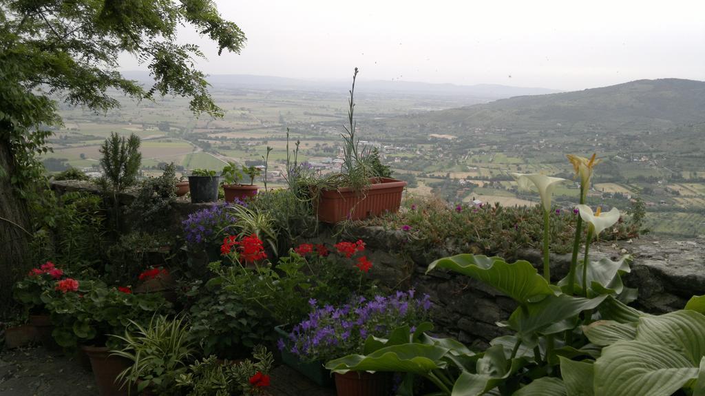 Casa Mia A Cortona Apartment Room photo